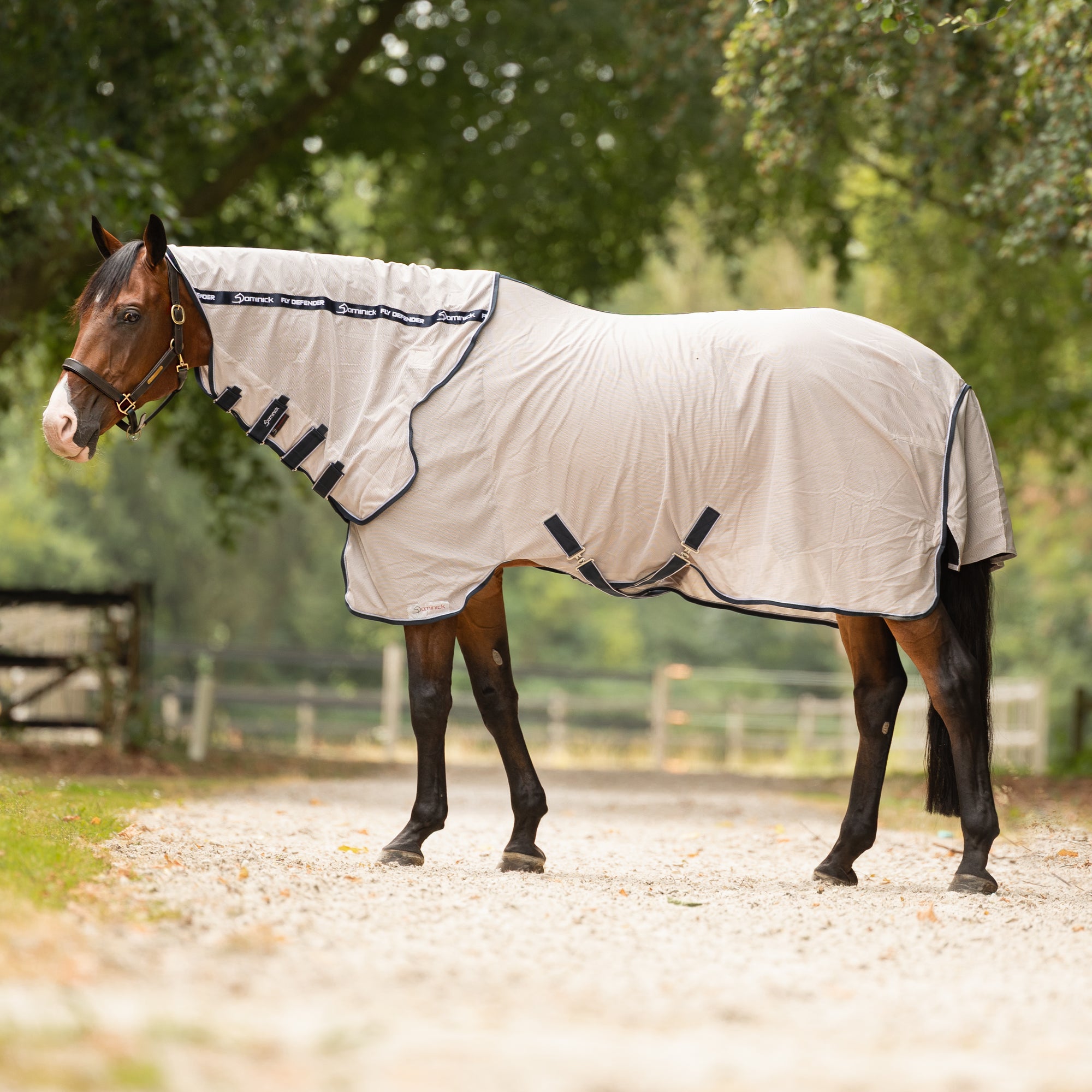 Dominick Vliegendeken Fly Defender Light