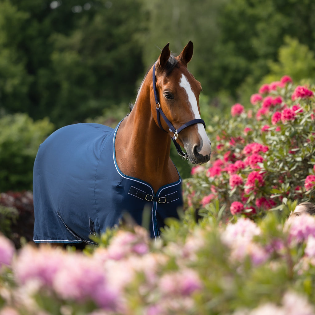 Dominick Cooler Sommerdecke Lite