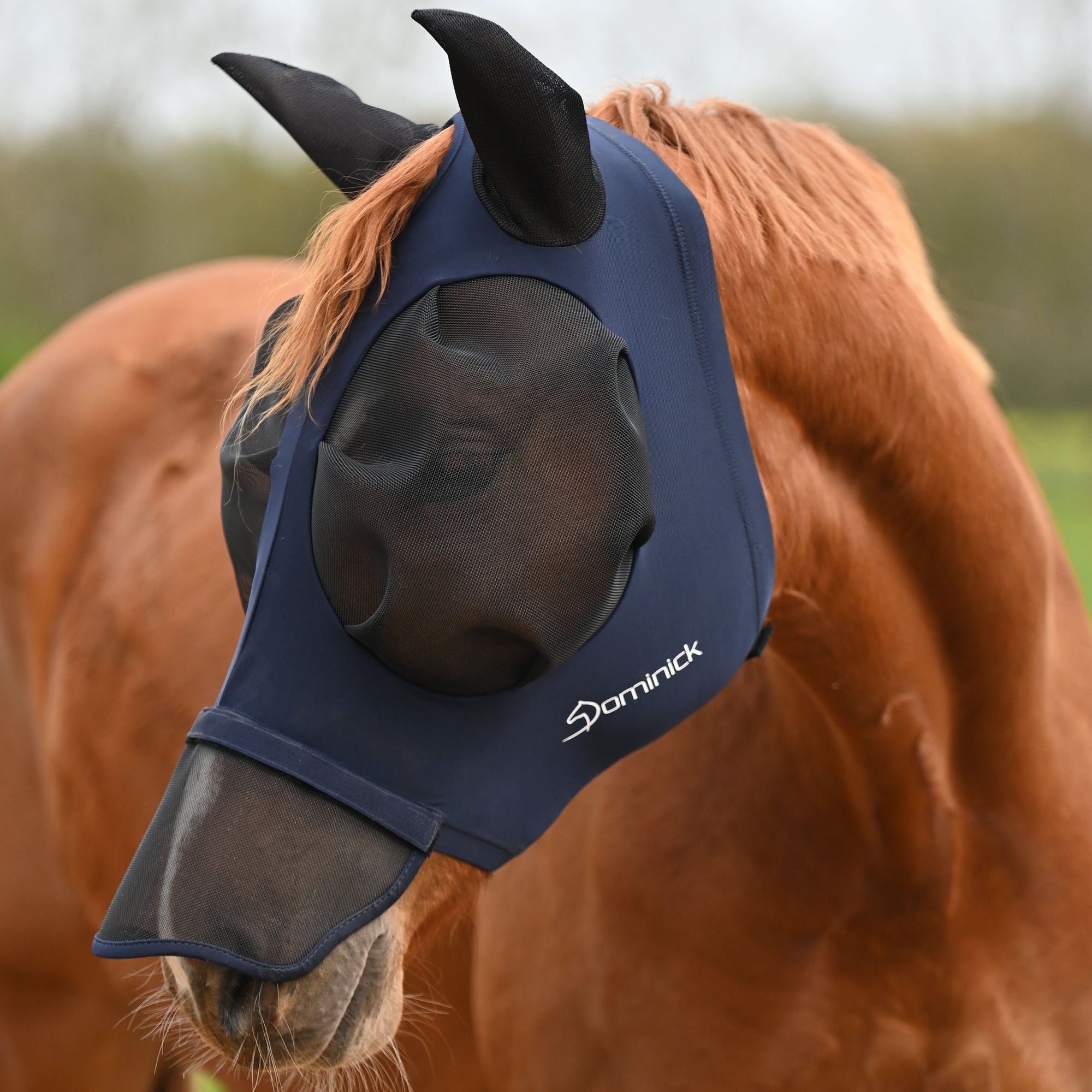 Dominick Fliegenmaske Comfort Fit + Nasenklappe