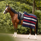 Dominick Golden Stripe Wolldecke